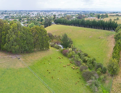 22 Halcombe Road, Feilding, Manawatu, 0 ਕਮਰੇ, 0 ਬਾਥਰੂਮ, Lifestyle Section