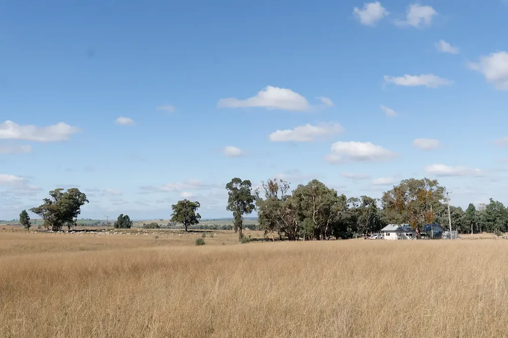 "Glen Alvin" & "Lockyer", Elong Elong, NSW 2831