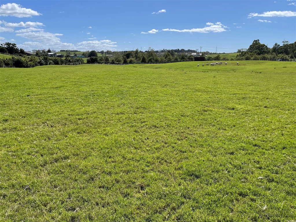 Dairy Flat A lifestyle filled with peace & natural beauty.