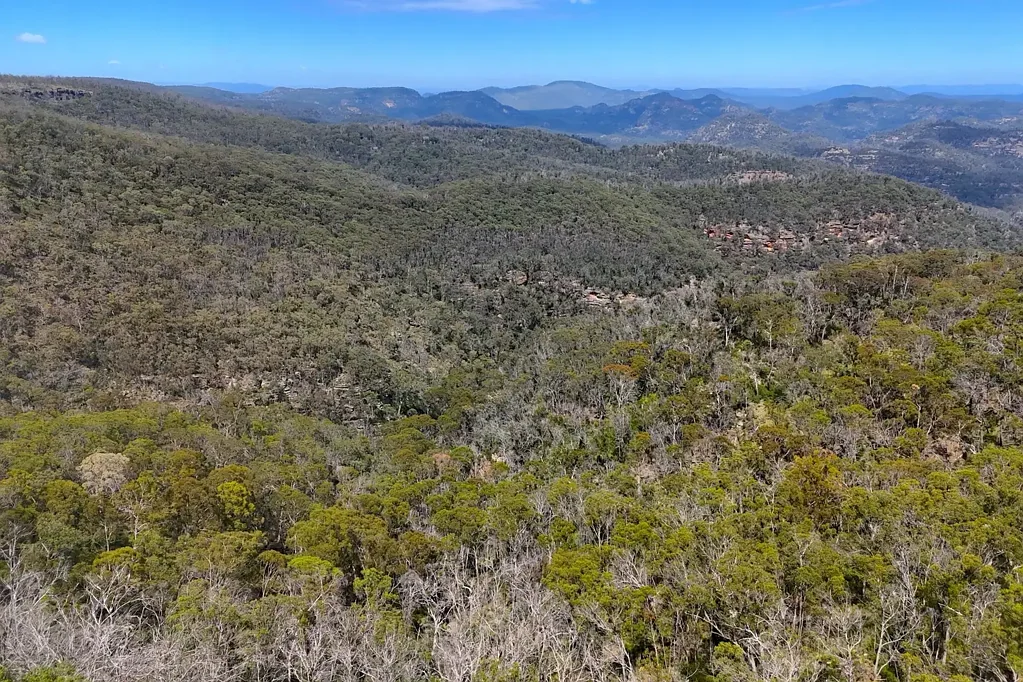2515 Nullo Mountain Road, Rylstone, NSW 2849