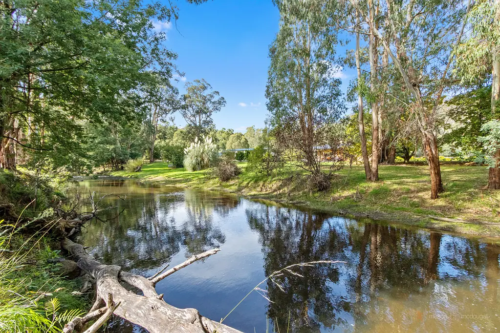 Flowerdale Stunning Vacant Allotment - Creek Frontage