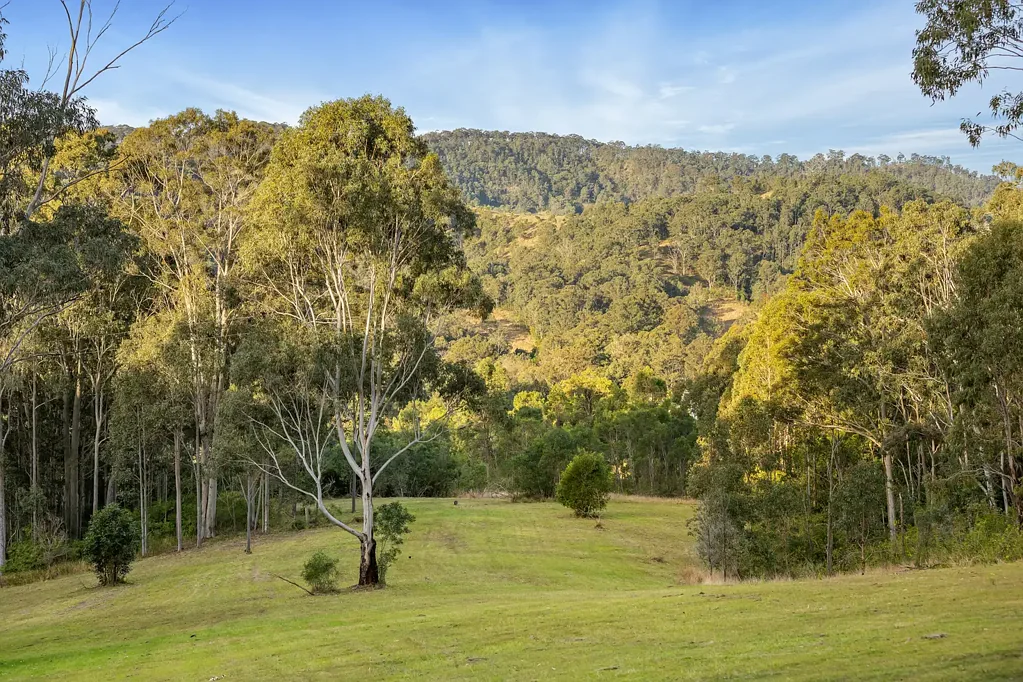 Dungog Welcome to the Quiet Life