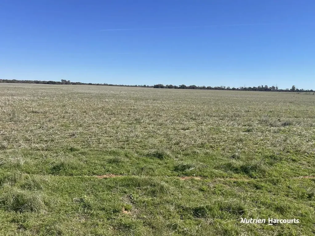 Cleary Red Dam Farm - Cleary