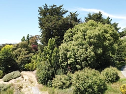 1 Oxford Street, Waikari
