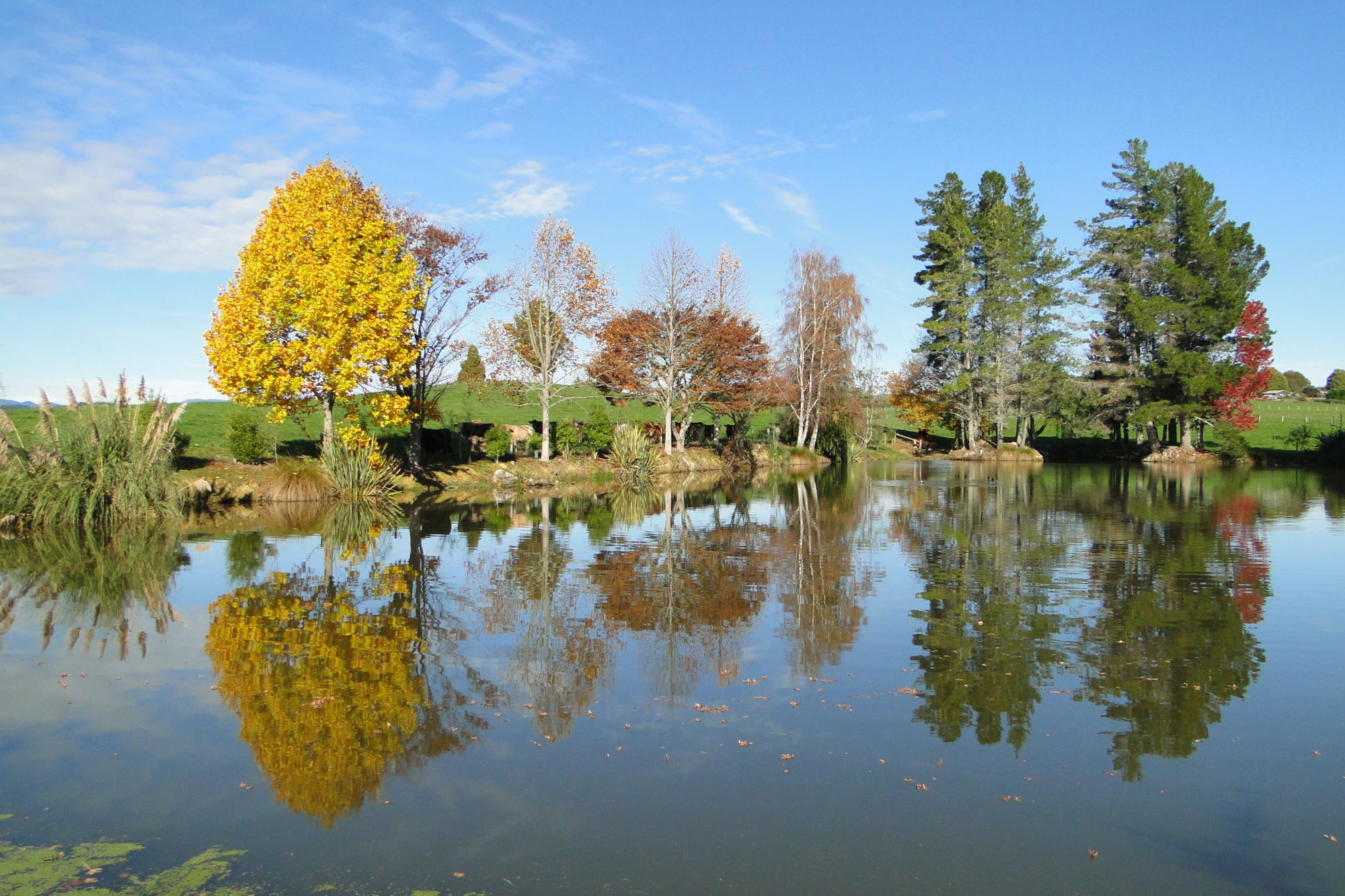 Kelling Road, Upper Moutere, Tasman, 0 침실, 1 욕실