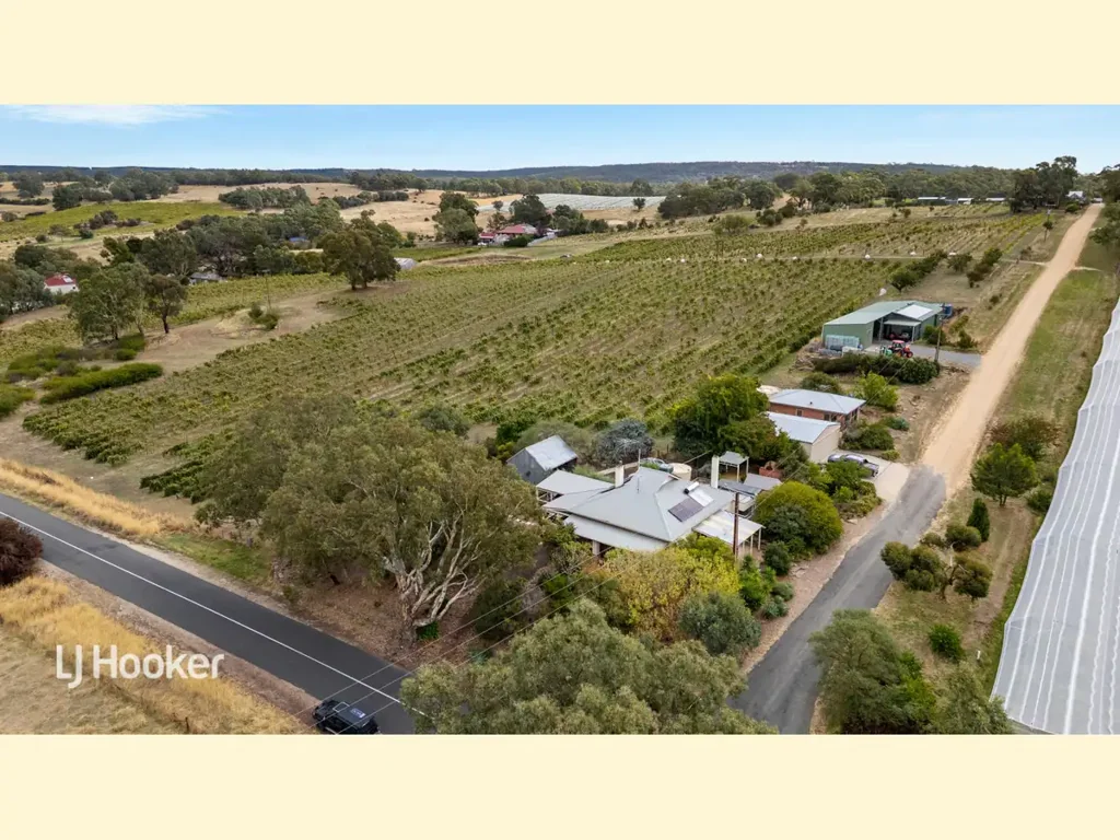 Angaston Hobbs of Barossa - A Rare $4 Million Legacy Offering