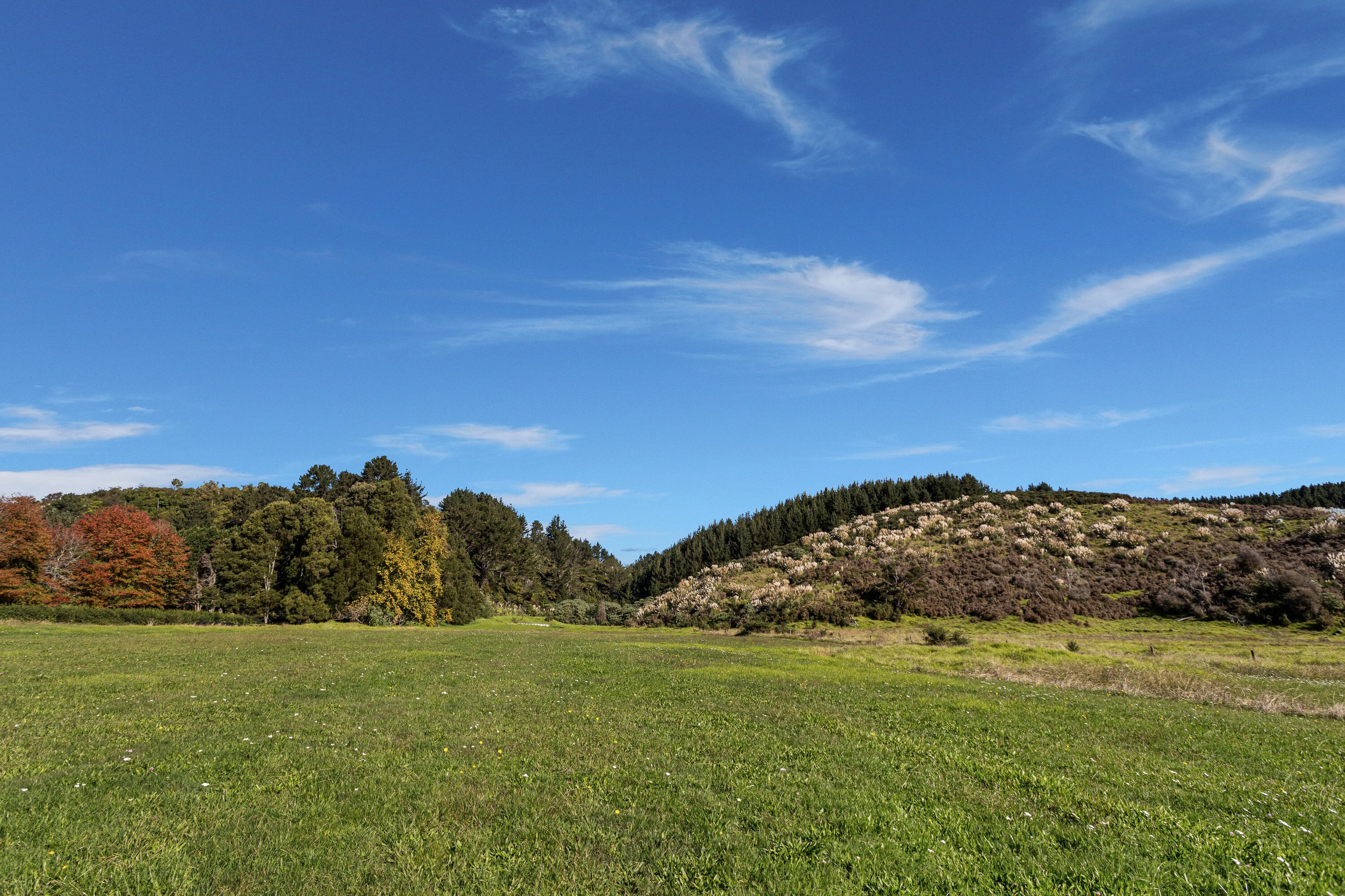 15 Seccombe Road, Te Teko, Whakatane, 0 રૂમ, 0 બાથરૂમ, Grazing