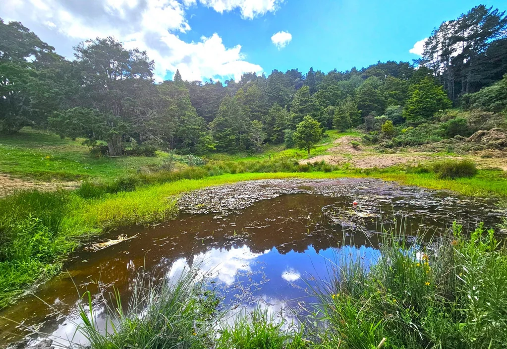 Kaikohe West  Picturesque 1.23ha Lifestyle Block – Stunning Rural & Mountain Views