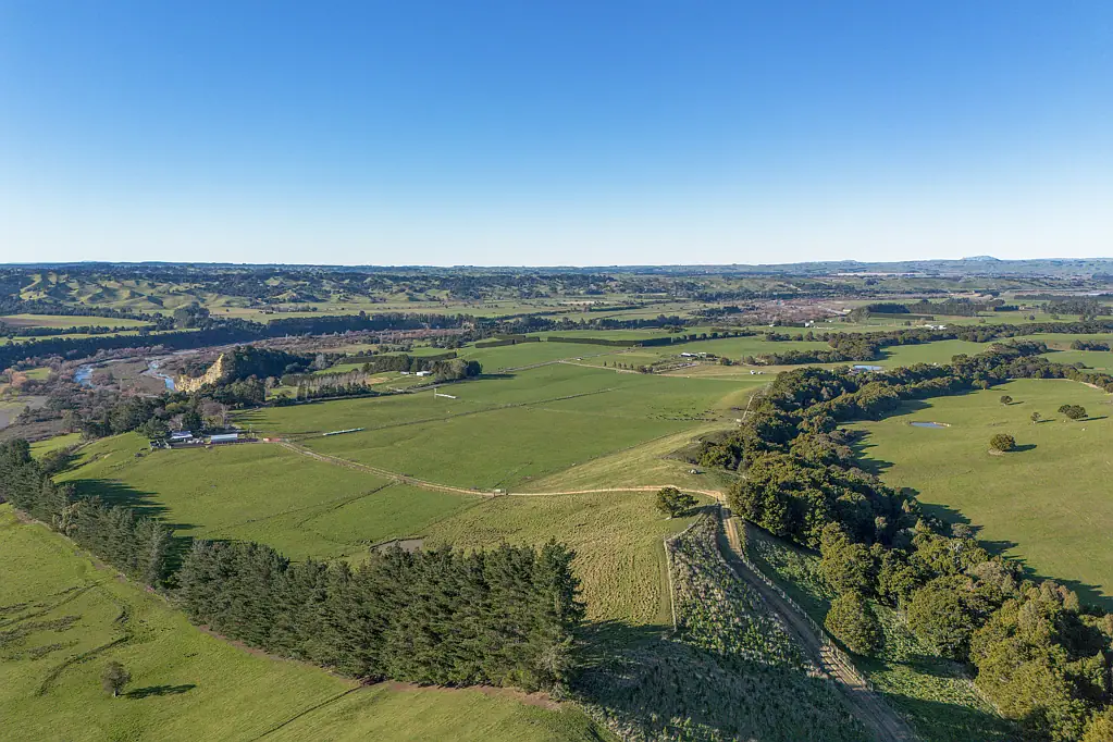 Ongaonga Dairy Support, Deer or Subdivide