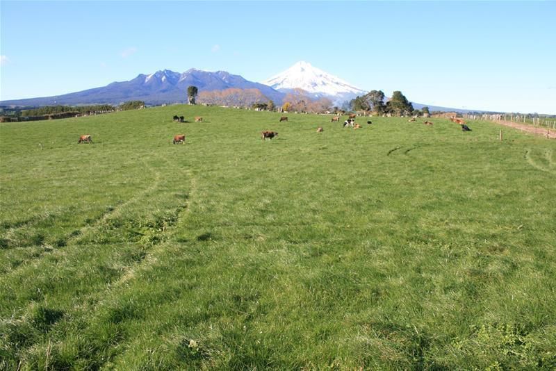 Dover Road, Okato, New Plymouth, 0 Bedrooms, 1 Bathrooms