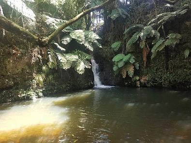 59f Riddell Road, Kerikeri, Far North District, 0 Bedrooms, 0 Bathrooms, Unspecified