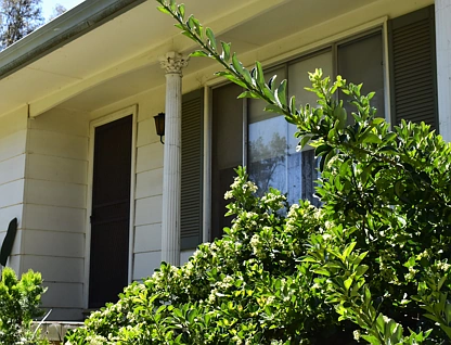198 Lower Bathurst Street, Forbes, Central Tablelands, 3 कमरे, 1 बाथरूम, Lifestyle Section