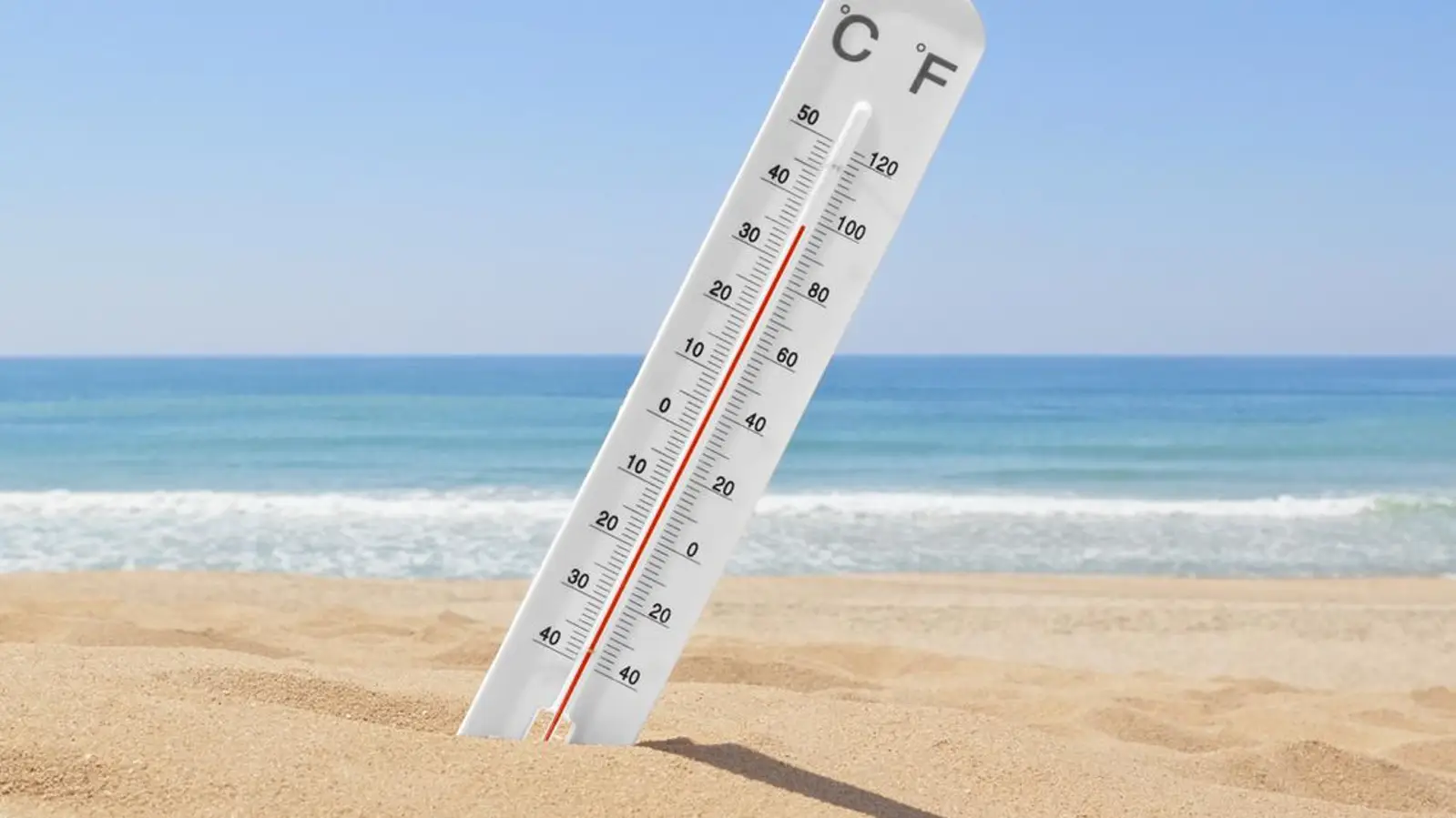 热到踢被子？新西兰本周气温最高至28℃，夏天真的来了！