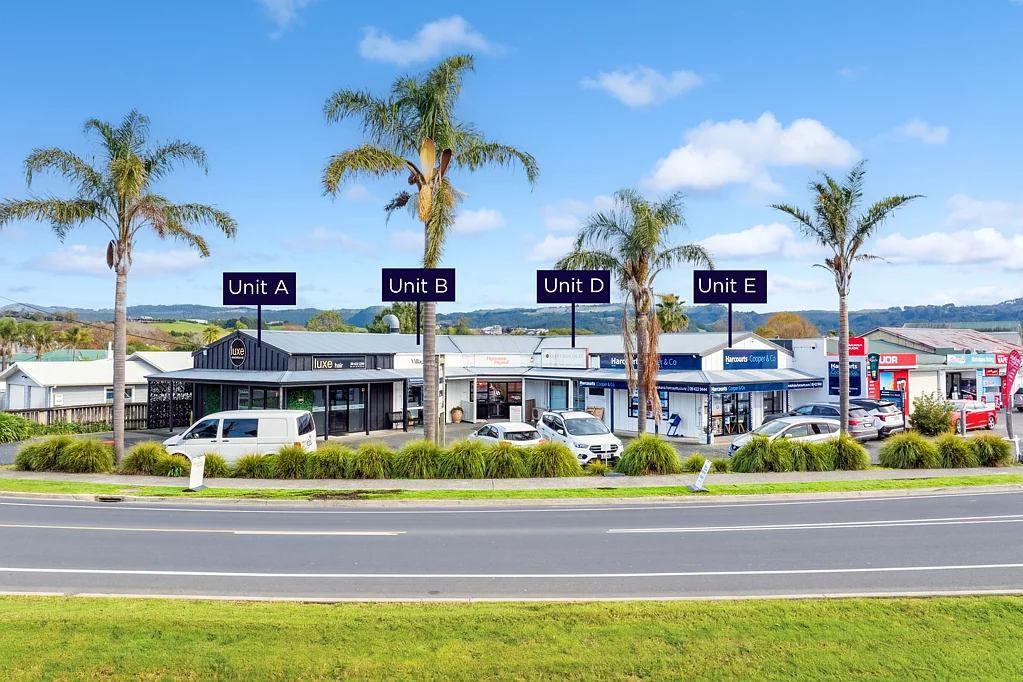 Matakana Dominant holding in multi-unit investment