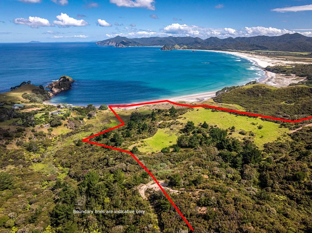 Great Barrier Island  COMING SOON ... 10ha with direct beach access