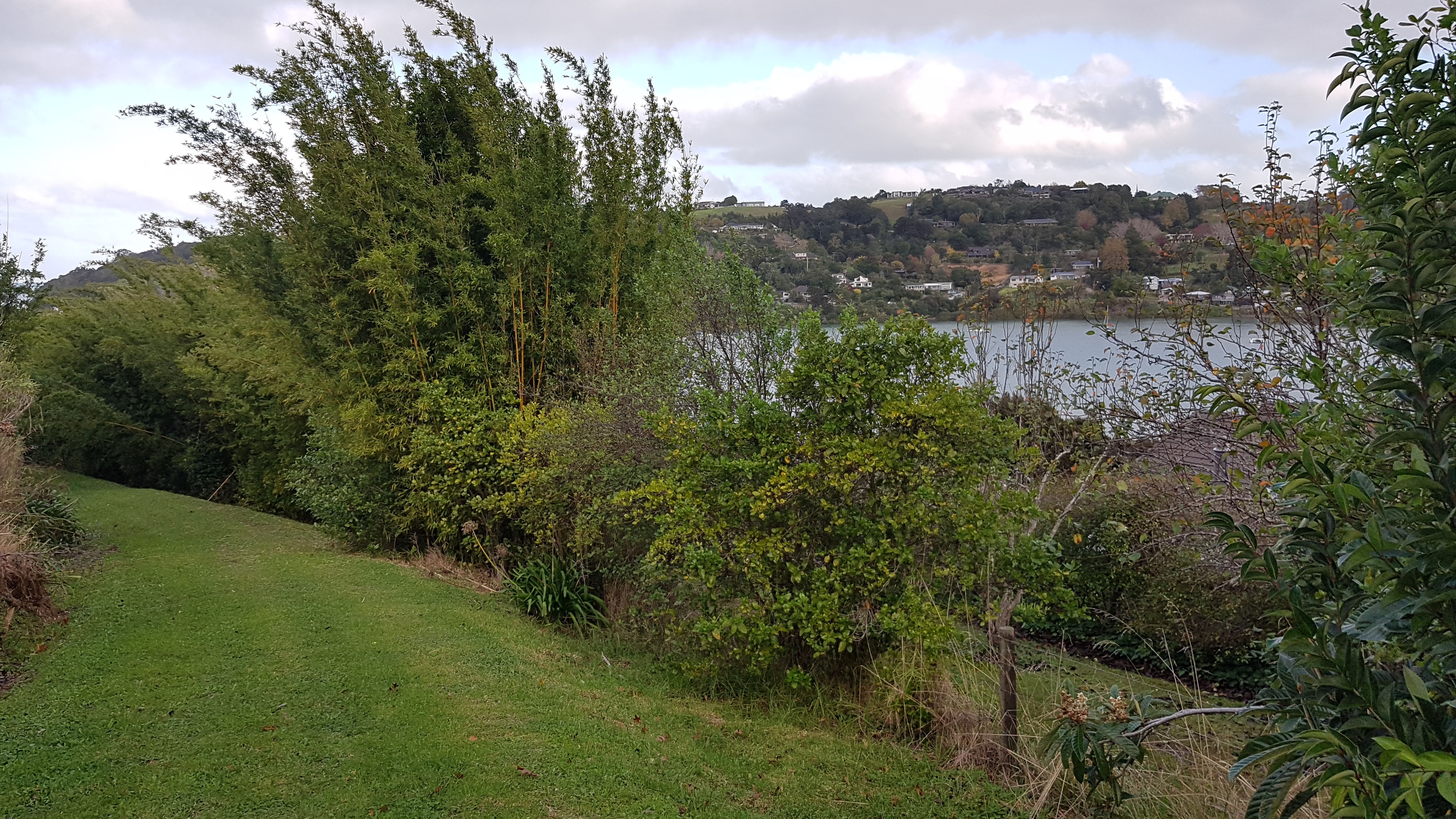 19 Green Road, Matakana, Auckland - Rodney, 0 રૂમ, 0 બાથરૂમ