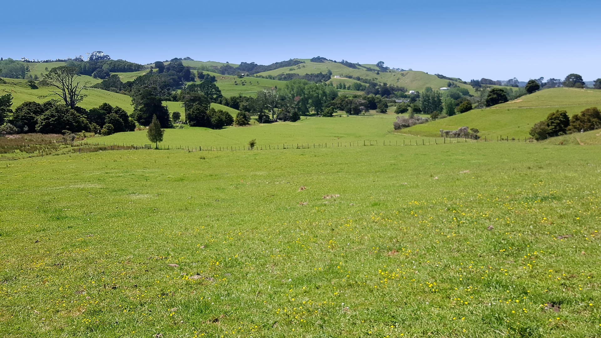 Matakana Valley Road, Matakana, Auckland - Rodney, 0 habitaciones, 1 baños