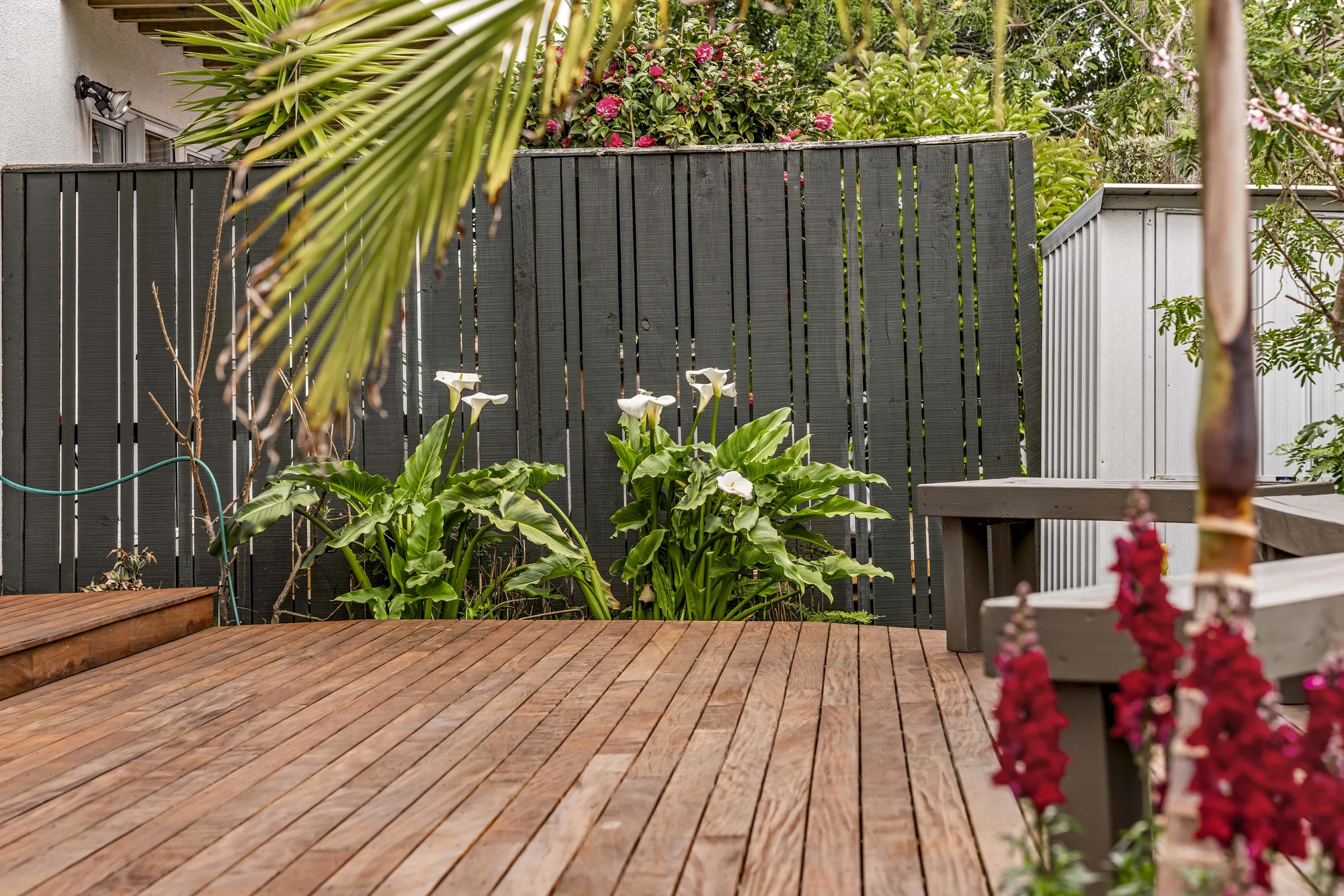 20F Clonbern Road, Remuera, photo 10