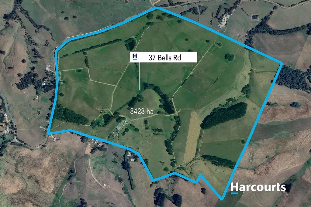 Mount Eccles Premium Mount Eccles Dairy Farm - 208 Acres Across 3 Titles