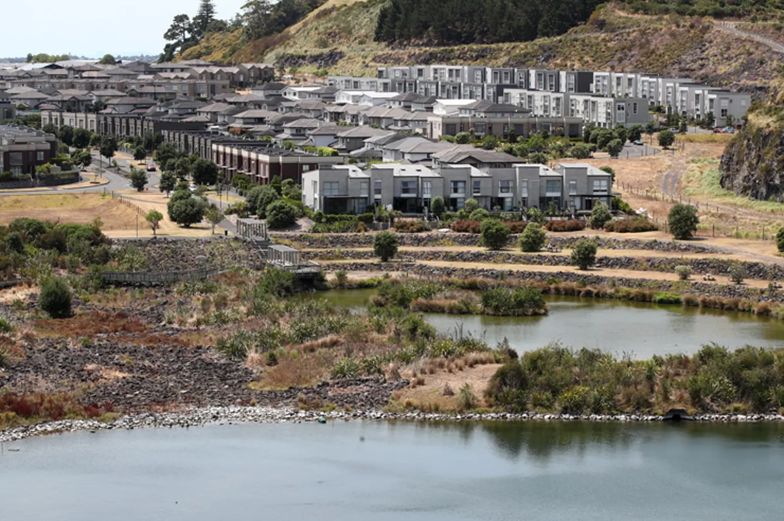 破纪录!奥克兰自住买家战斗力爆表,这一地区联排拍出$200万