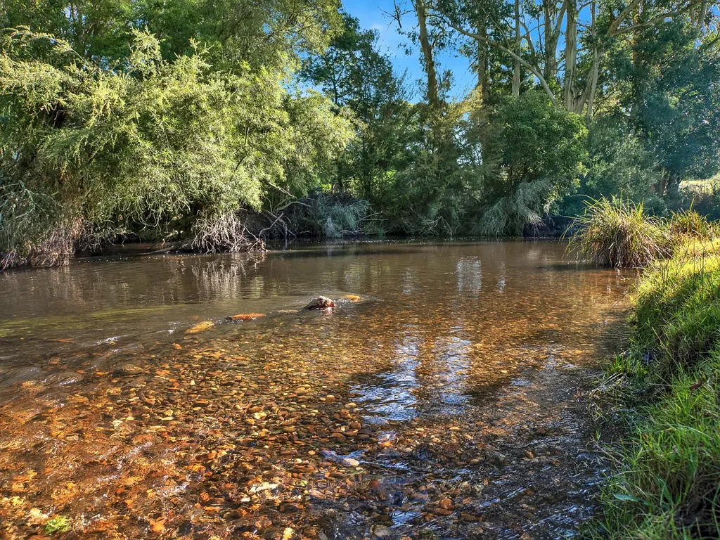 Wesburn "Meadow Vale" - Price Adjusted, Call For Details