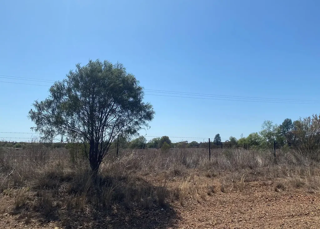 Cobar The perfect block for you!