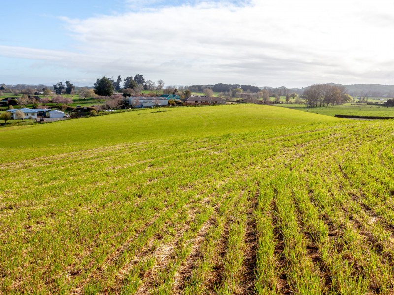 1149 Victoria Road, Tauwhare, Waikato, 3房, 0浴