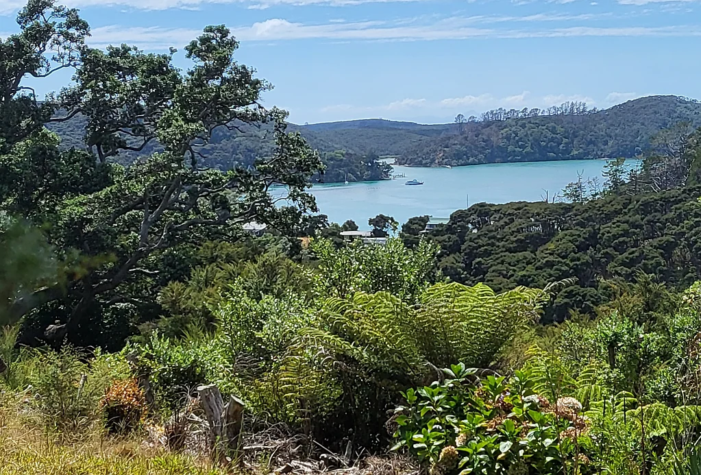 Kawau Island Affordable island escape - must go.