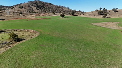 Address Withheld, Gulgong, NSW 2852, 0 Bedrooms, 0 Bathrooms, Lifestyle Property