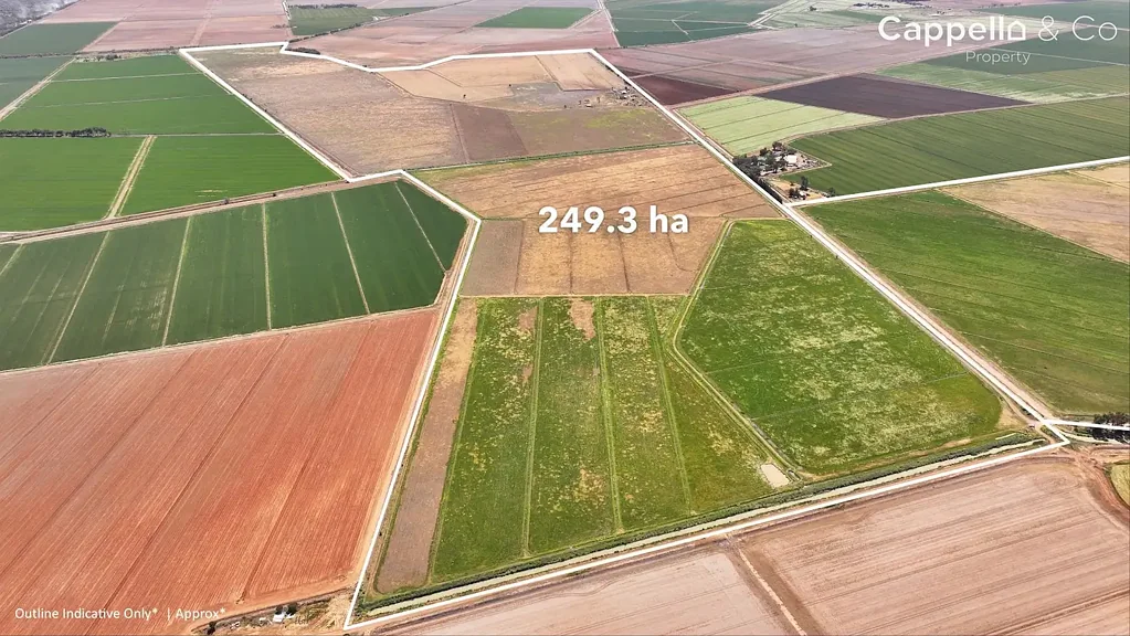 Warrawidgee  CHITTICK ROAD HOLDINGS - OFFERED AS A WHOLE OR SEPARATELY