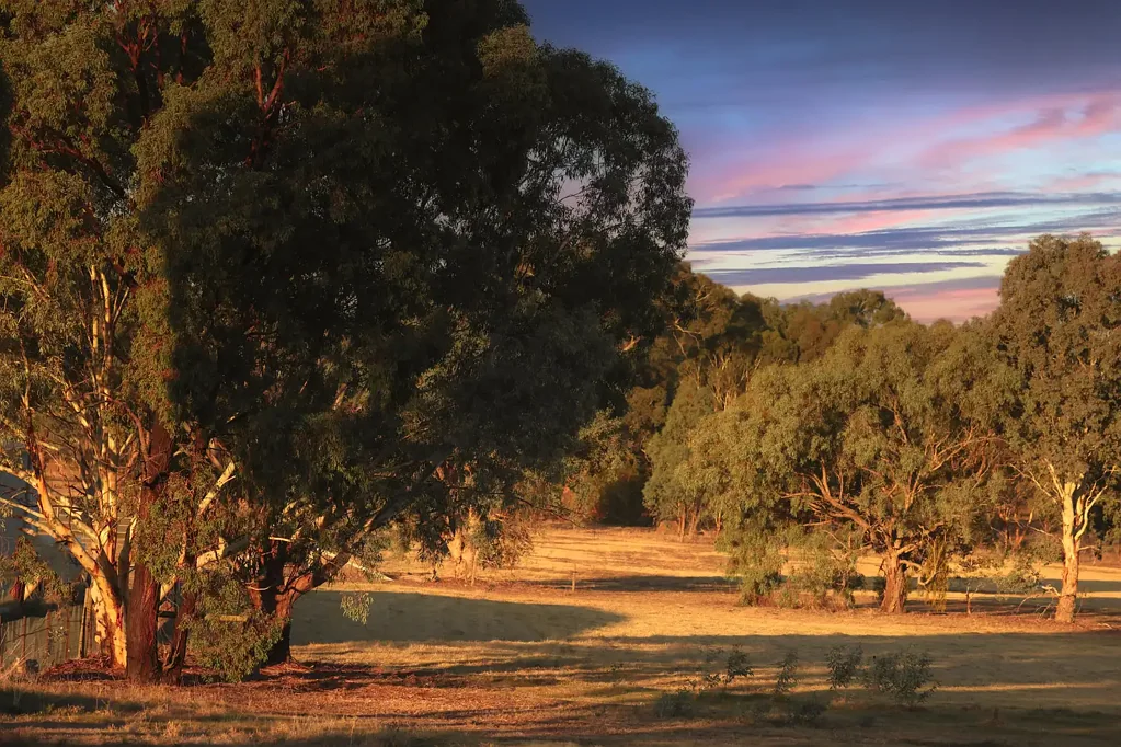 Rutherglen A Country Lifestyle on the Fringe of Town