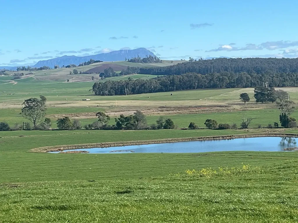 Parkham Versatile Rural Opportunity - 584 acres across 4 titles