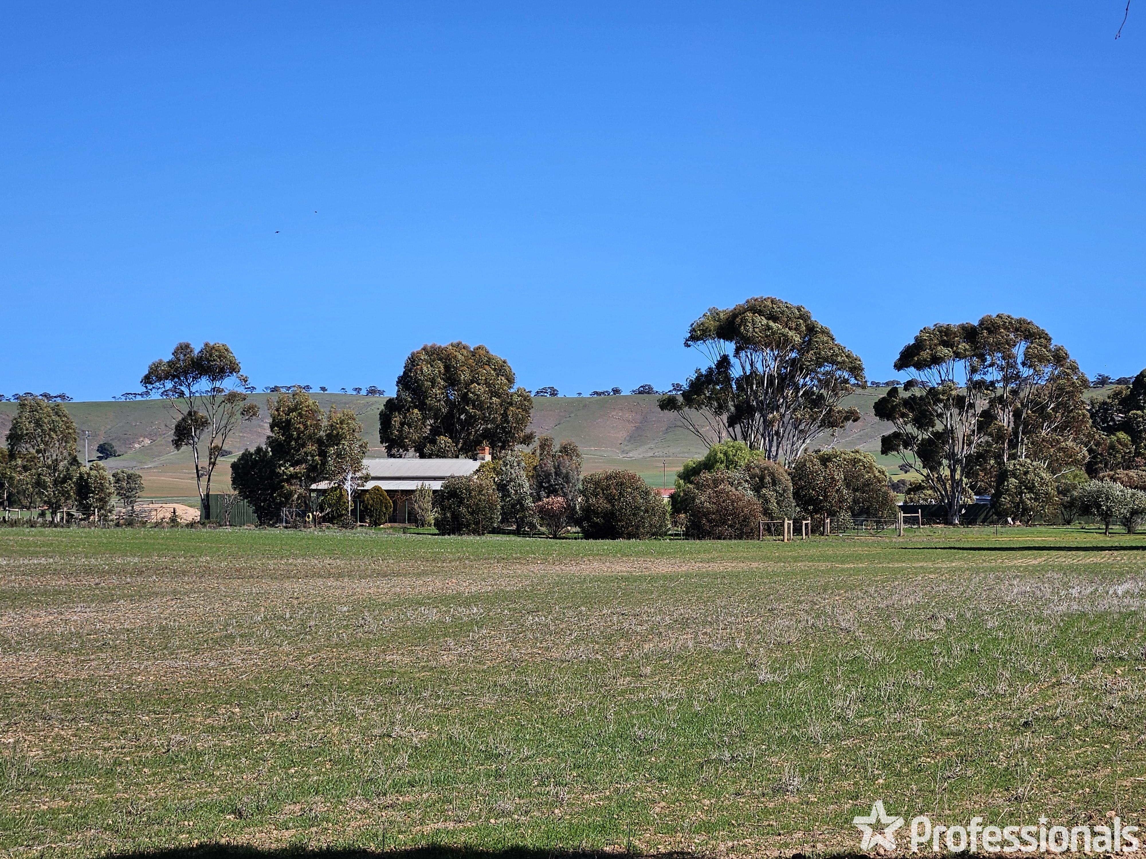 163 HILLS RD, ROBERTSTOWN SA 5381, 0房, 0浴, Lifestyle Property