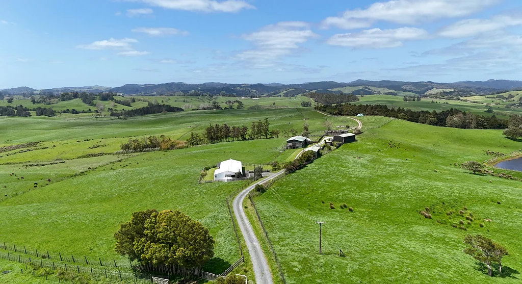 Wellsford  Prime Location, Exceptional Property
