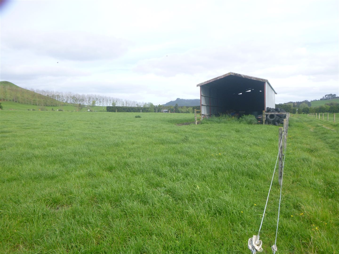 Old Tauranga Road, Waihi, Hauraki, 0 침실, 1 욕실