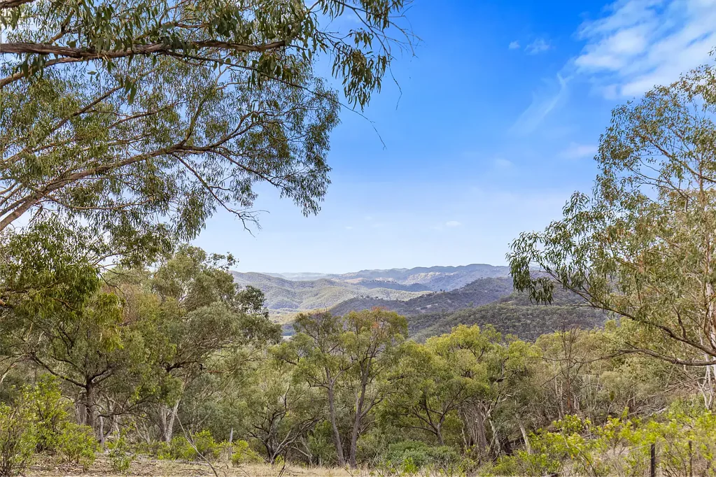 36 Wallawaugh Road, Hargraves, NSW 2850