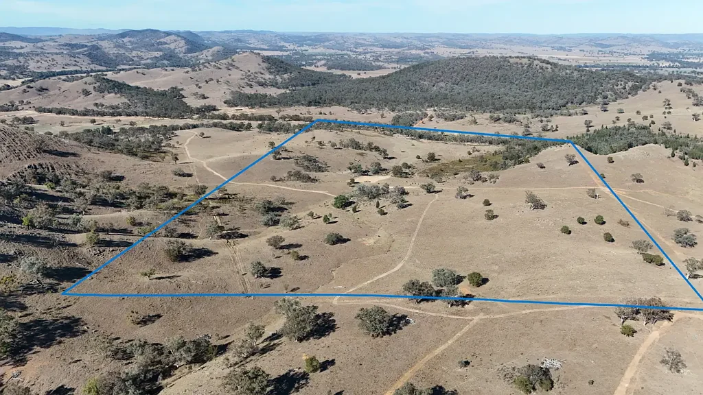 Gulgong PRODUCTIVE 48 HECTARE HOLDING