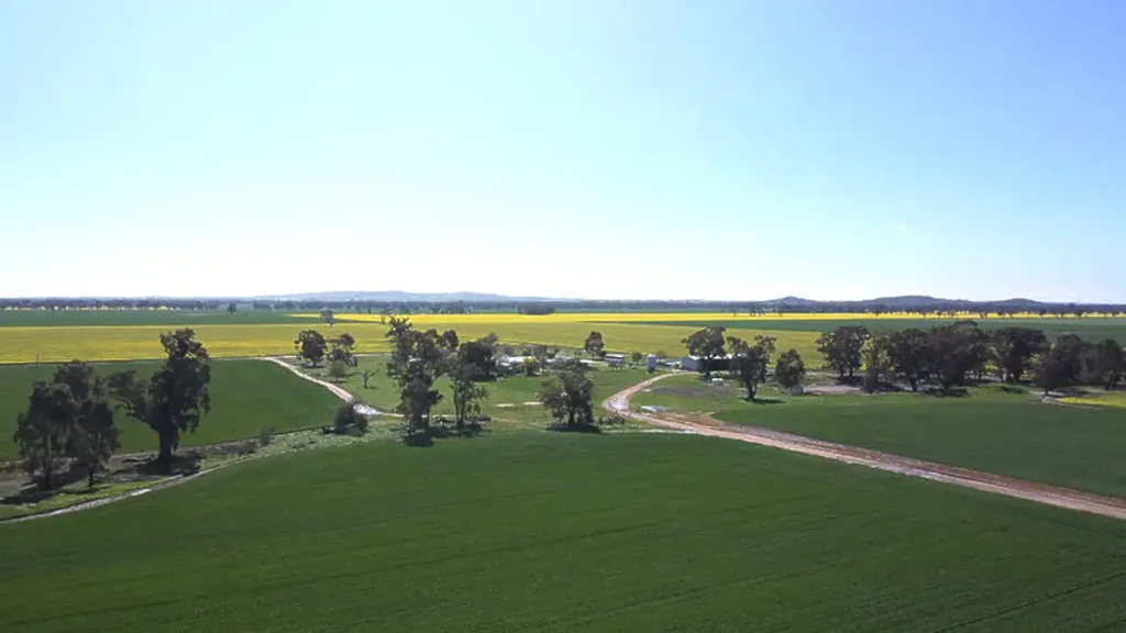 Walbundrie "Del-Rio"