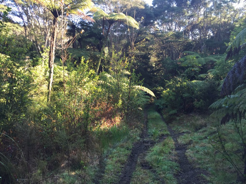 157 Kaimarama Road, Kaimarama, Coromandel, 0 chambres, 0 salles de bain