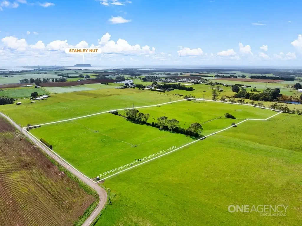 Forest Endless Potential on 29 Acres with Barn in Sought-After Forest
