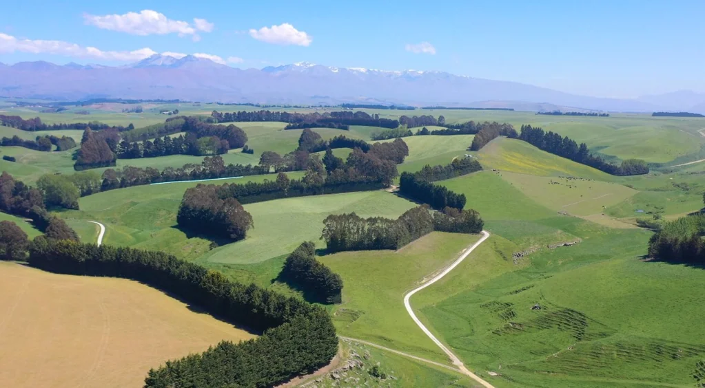 Duntroon GlenFalloch - scale, location and quality
