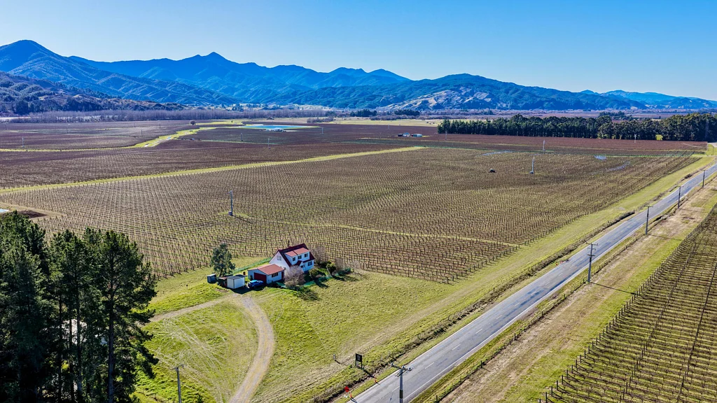 Wairau Valley  Prime sauvignon blanc with grape supply agreement
