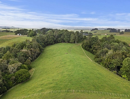 201 Checkley Road, Raglan, Waikato, 0 ਕਮਰੇ, 0 ਬਾਥਰੂਮ, Section