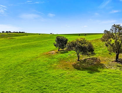 Section 1356 Wellington Road, Woodchester, South East, 0 rūma, 0 rūma horoi, Lifestyle Property