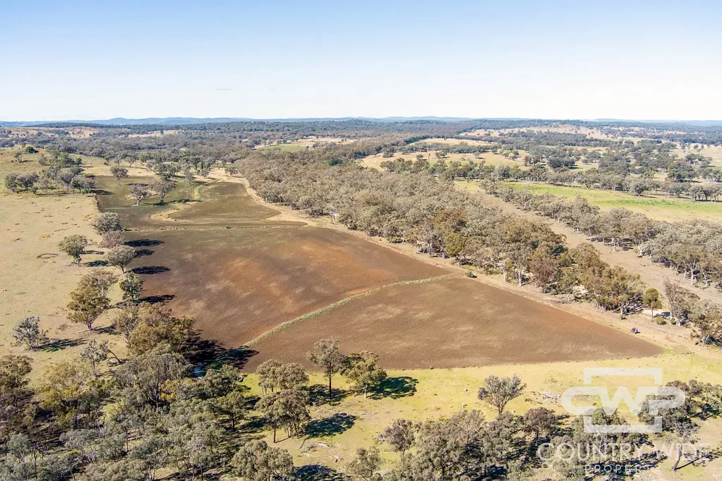 Emmaville  Productive Cropping & Grazing Opportunity - MOTIVATED VENDORS