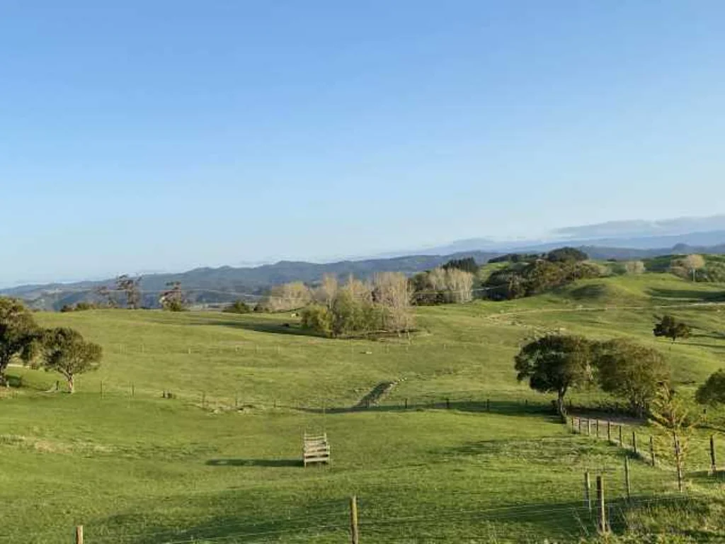 Okaihau 1房  BARE LAND WITH AMAZING VIEWS
