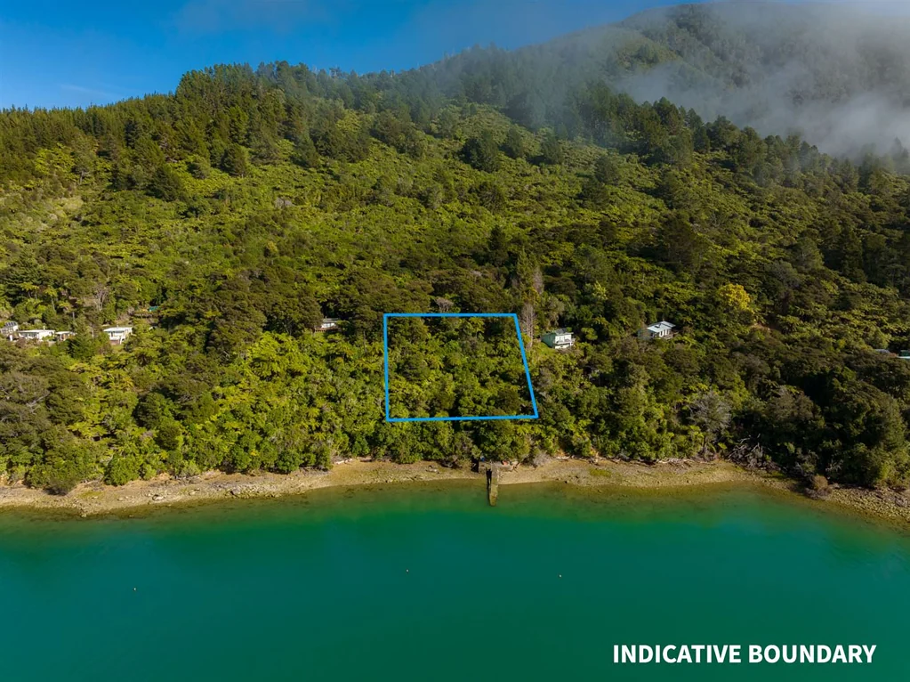 Pelorous Sounds Waterfront Playground - The Price Has Dropped