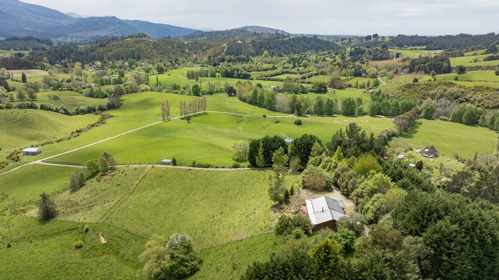 Ngatimoti Productive farm land with two dwellings