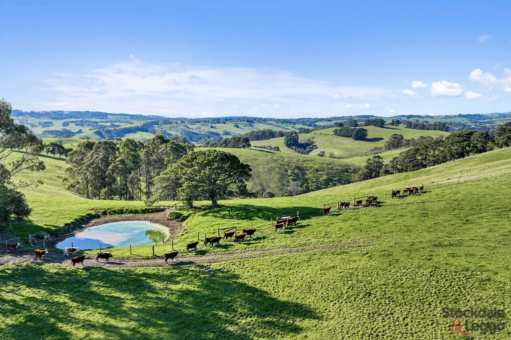 80 Inglis Lane, Mirboo North, VIC 3871