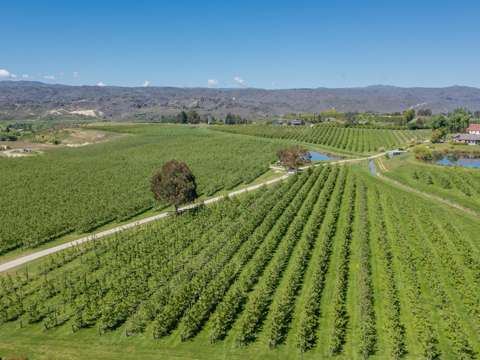 Alexandra  Stunning orchard property - 18.9ha